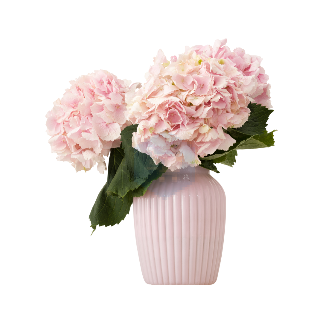 Pink Ceramic Vase