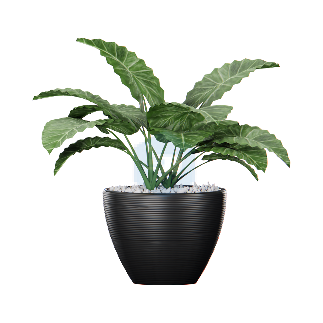 Artificial Plant